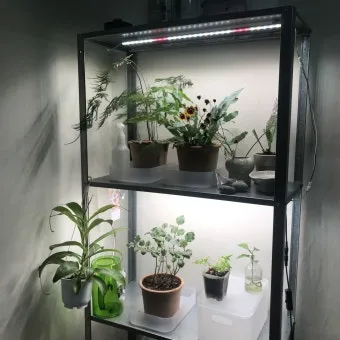 식물등 설치 위치높이 시간대설정 광량부족 해결 겨울철 성장 돕기_12