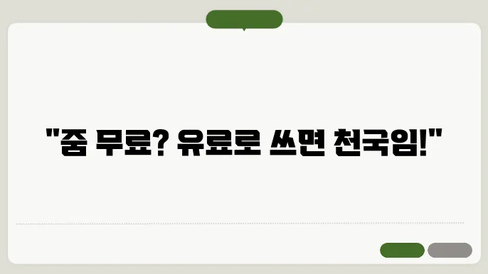 줌 유료결제