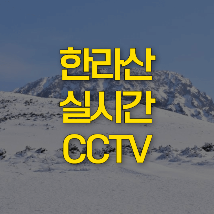 한라산-실시간-CCTV-썸네일