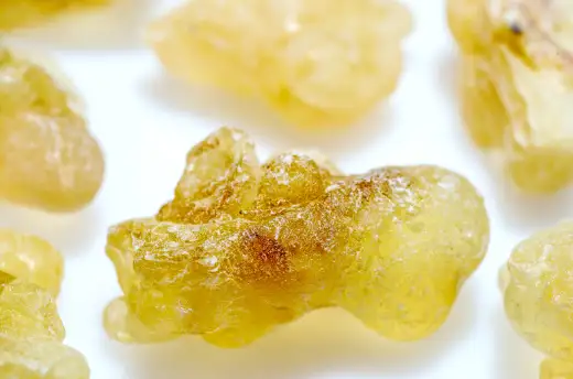 보스웰리아 효능 및 복용시 주의점