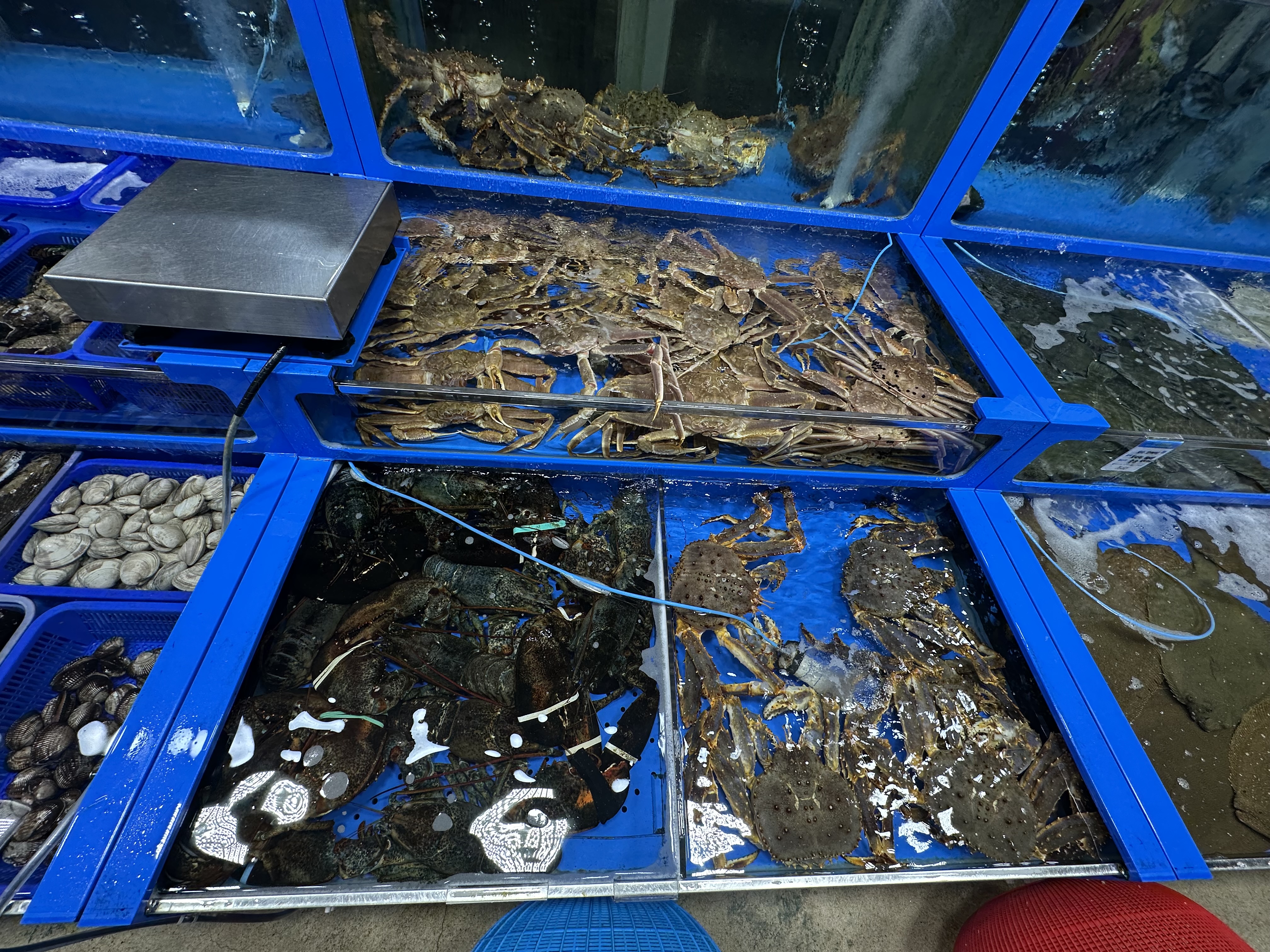 Travel Review 2: Boryeong, Daecheon, and Muchangpo in Chungnam, Korea (Family Travel Destination Recommendation, Muchangpo Beache Palace, Mudflat Experience, Sky Bike Price &amp; Duration, Daecheon Restaurants &amp; Lunch Spots, Daecheon Beach, Stunning Sunset, Closed Sanghwawon, Daecheon Port Fish Market, Useong Fisheries, Suyeonho Fisheries, Muchangpo Beache Palace, Ocean View, Lodging with Kitchen Facilities, Muchangpo Pension)