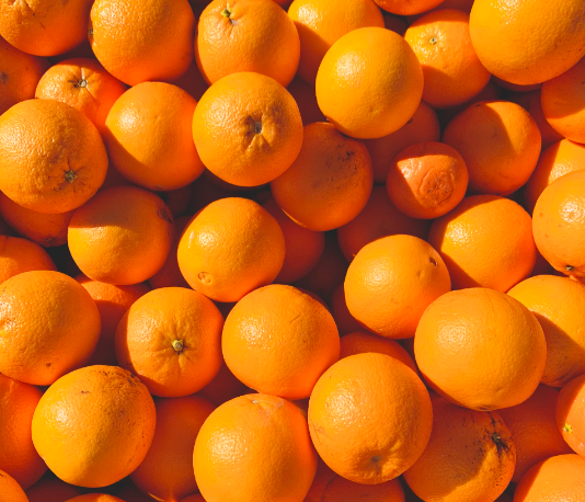 간에 좋은 음식 10