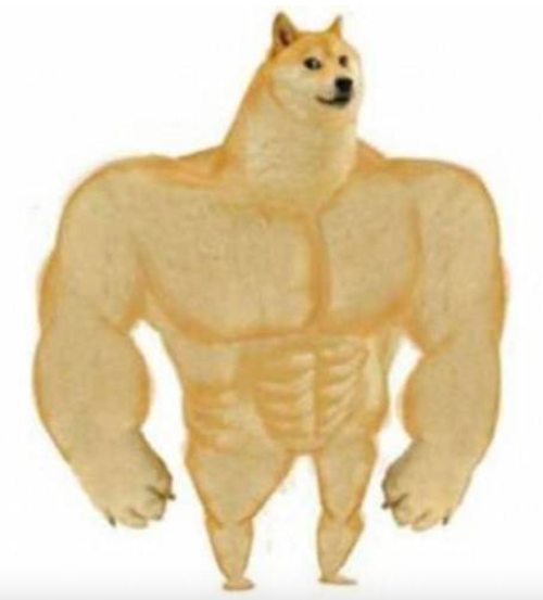 인자강 짤
