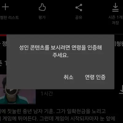 넷플릭스 성인 인증