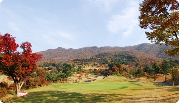 청평마이다스cc전경2