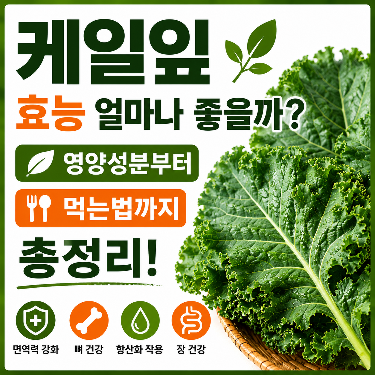 케일잎 효능
