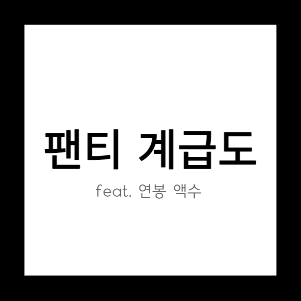 팬티 계급도