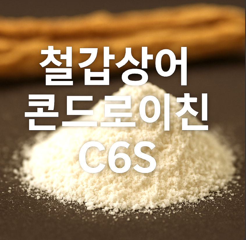 철갑상어 콘드로이친 C6S 효능 및 추천 TOP3