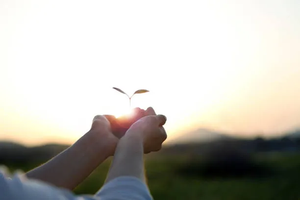 중증장애인 출퇴근비용지원 총정리(지원방법, 지원자격, 대상등)