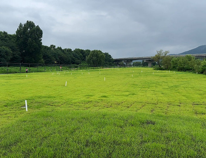 서울 강남 세곡동 탄천파크골프장 소개