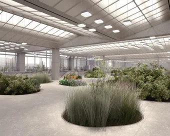 실내정원 꾸미기 화분선택 배치요령 물주기 통풍 어르신도 쉬운 동선_8