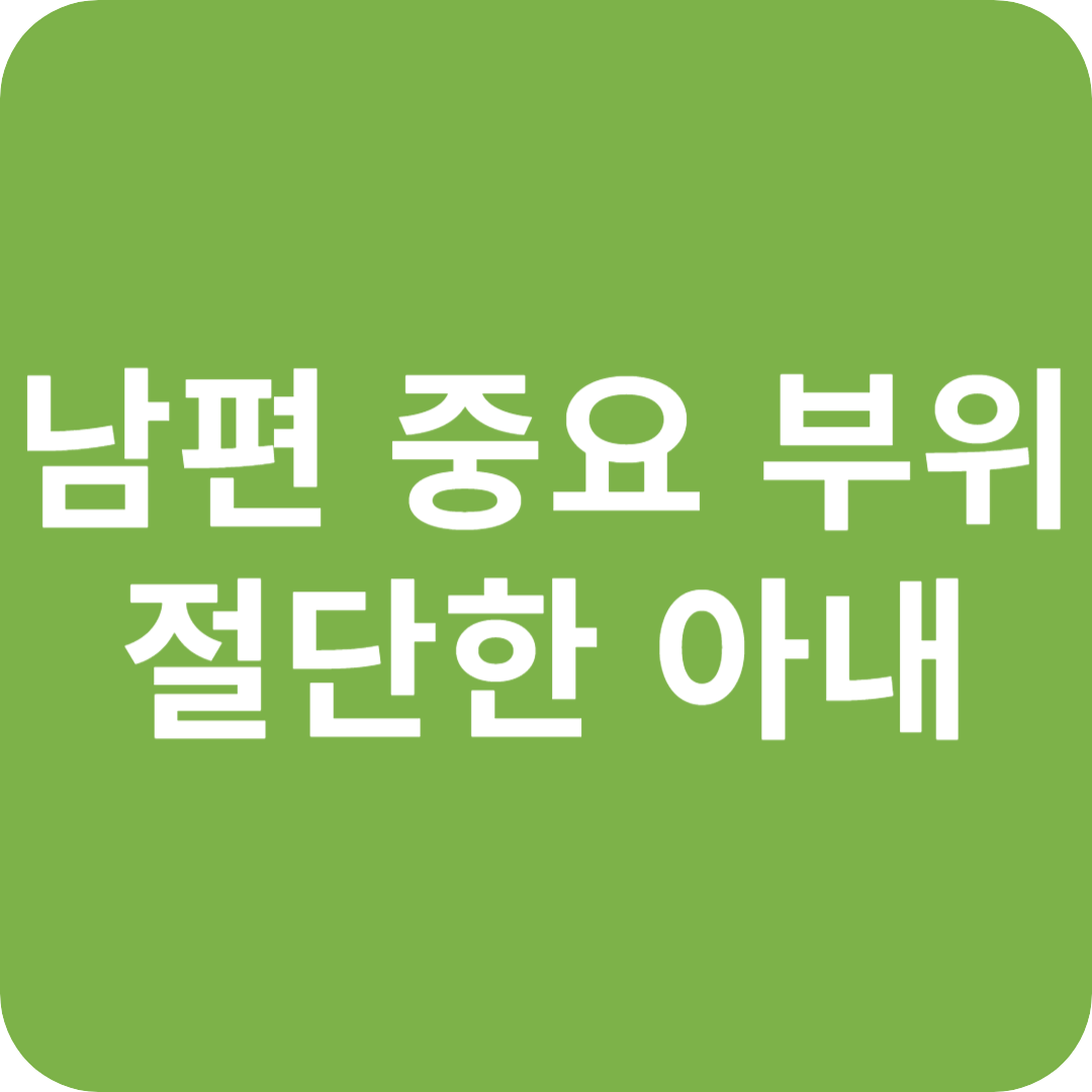 인천 강화도 카페에서 남편 중요 부위 절단한 아내