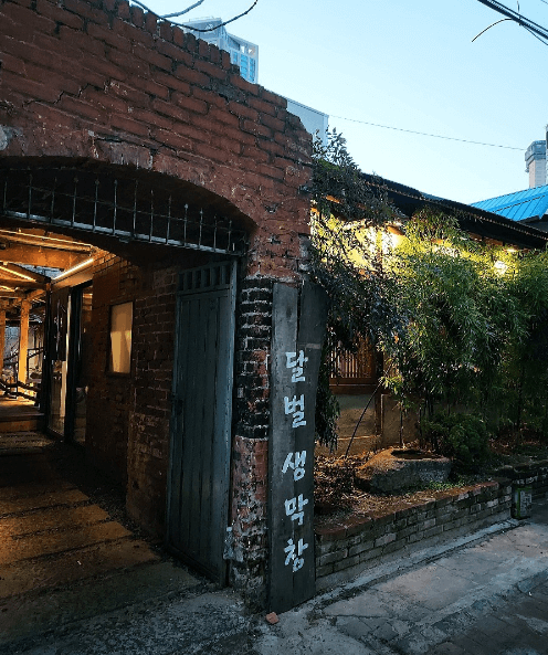 생방송오늘저녁 대파 막창 대구 첫눈에 반한 맛집