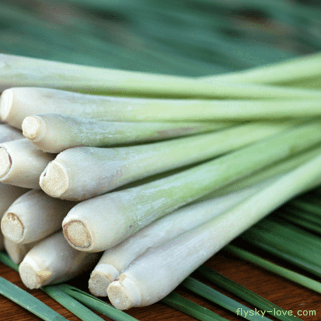 레몬그라스 (Lemongrass), 레몬그라스 오일