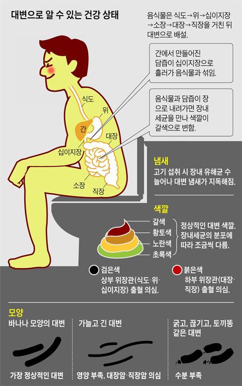대장내시경 전 음식주의사항 먹어도 되는 음식 전날 음식