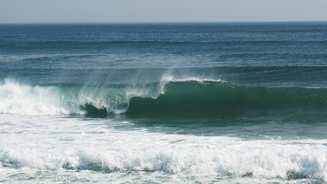 4월 봄 나들이 추천 장소 TOP 10 (지역별 정리)