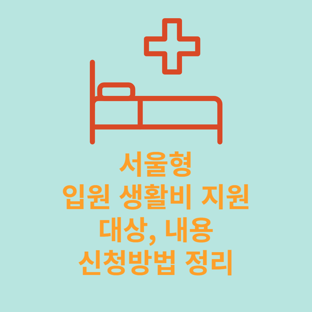 서울형 입원 생활비 지원