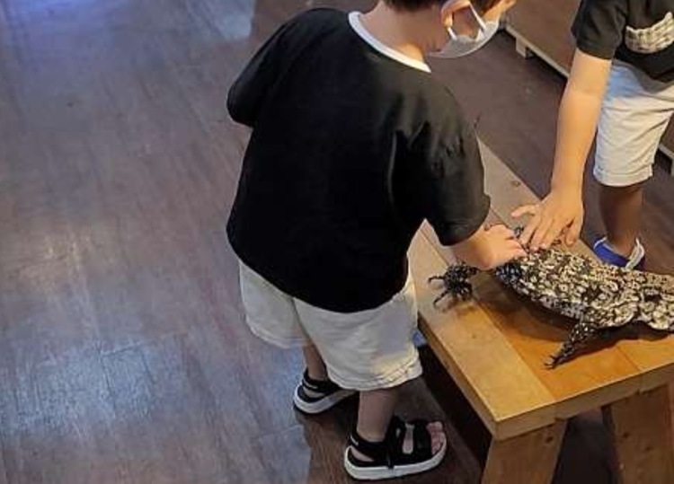 센트럴 곤충 생태농장