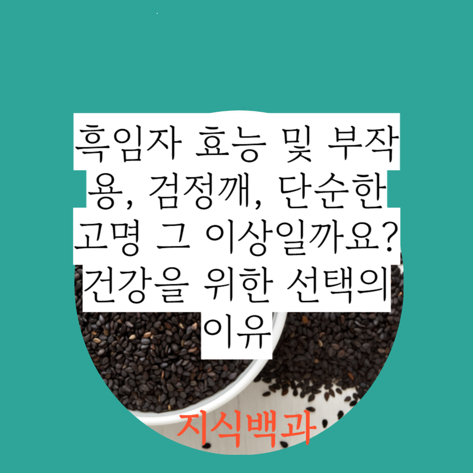 흑임자 효능 및 부작용, 검정깨, 단순한 고명 그 이상일까요? 건강을 위한 선택의 이유