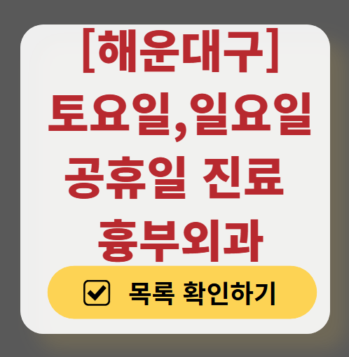 해운대구 주말 토요일 일요일 흉부외과 진료 병원 목록 ❘ 공휴일 진료 영업 병원 리스트 찾기
