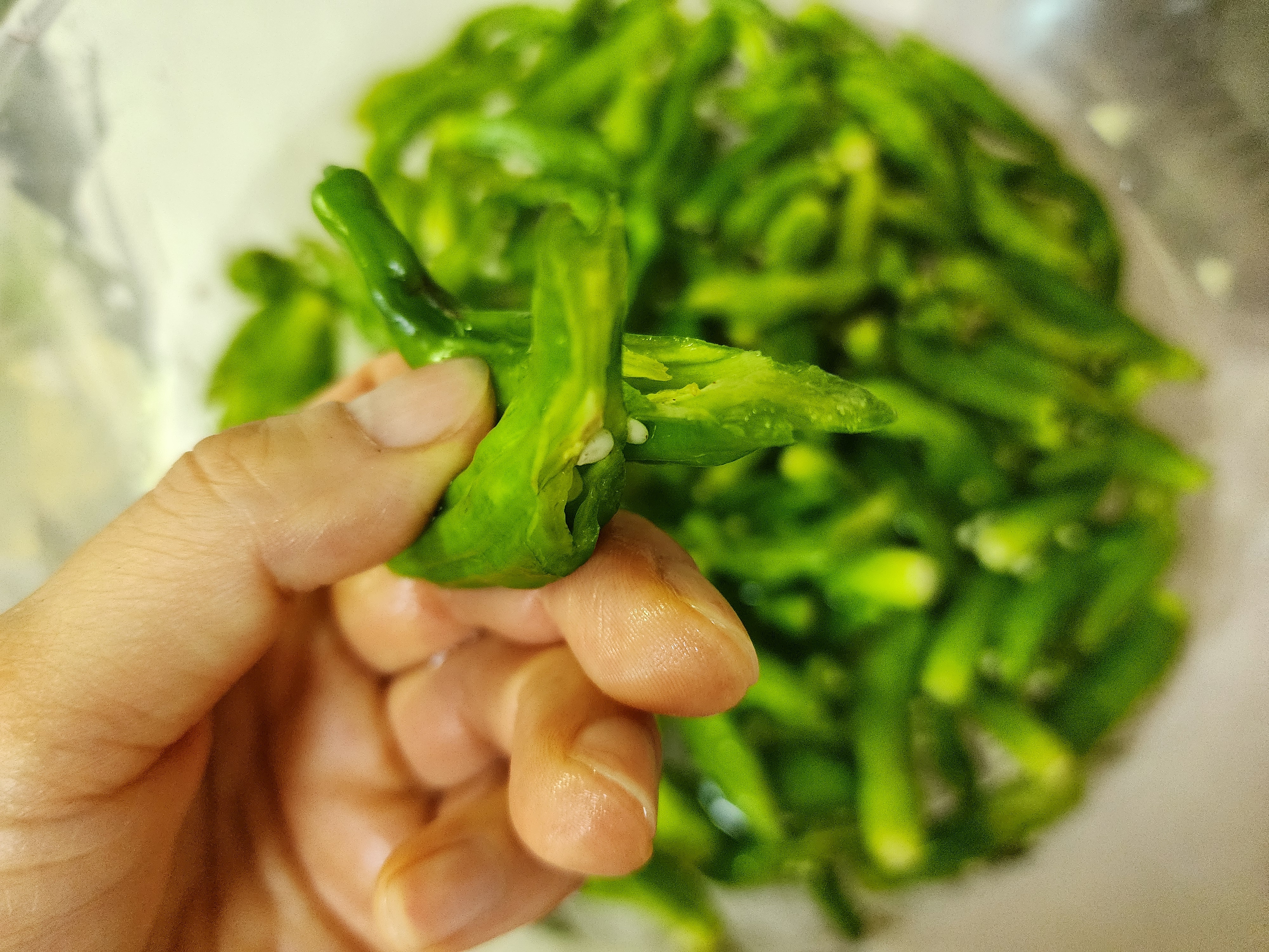 꽈리고추 멸치볶음 황금레시피