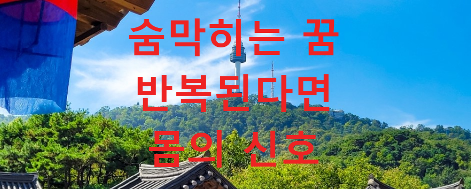 꿈과건강