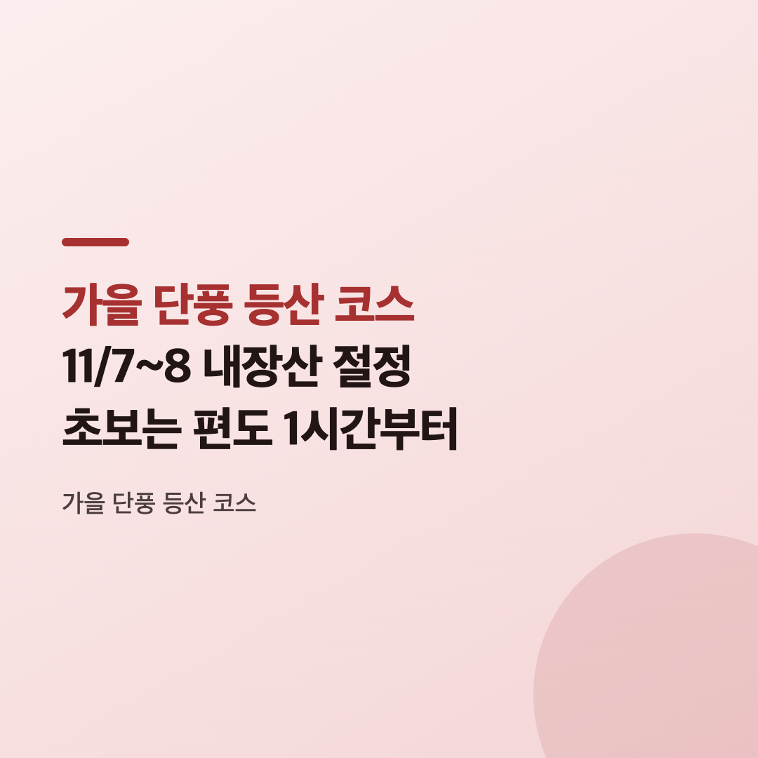 가을 단풍 등산 코스로 꼽히는 설악산 주전골 용소폭포 일대의 단풍 풍경