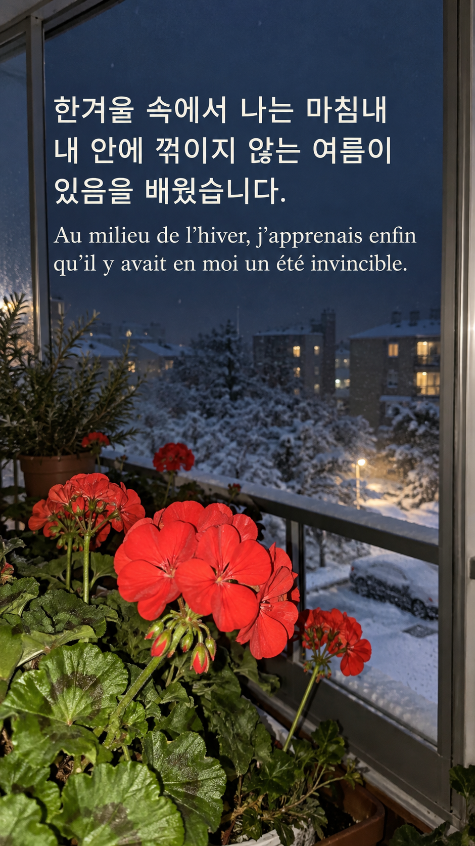 내면의 여름을 발견하기 &mdash; 눈 내리는 밤 베란다의 붉은 제라늄