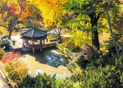 창덕궁 야간개장