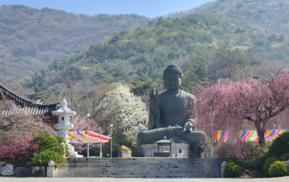 천안 살기 좋은 동네 vs 불편한 동네 &mdash; 같은 천안, 만족도 차이가 나는 결정적 이유