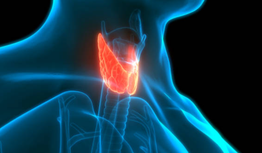 갑상선암과 관련된 사진3