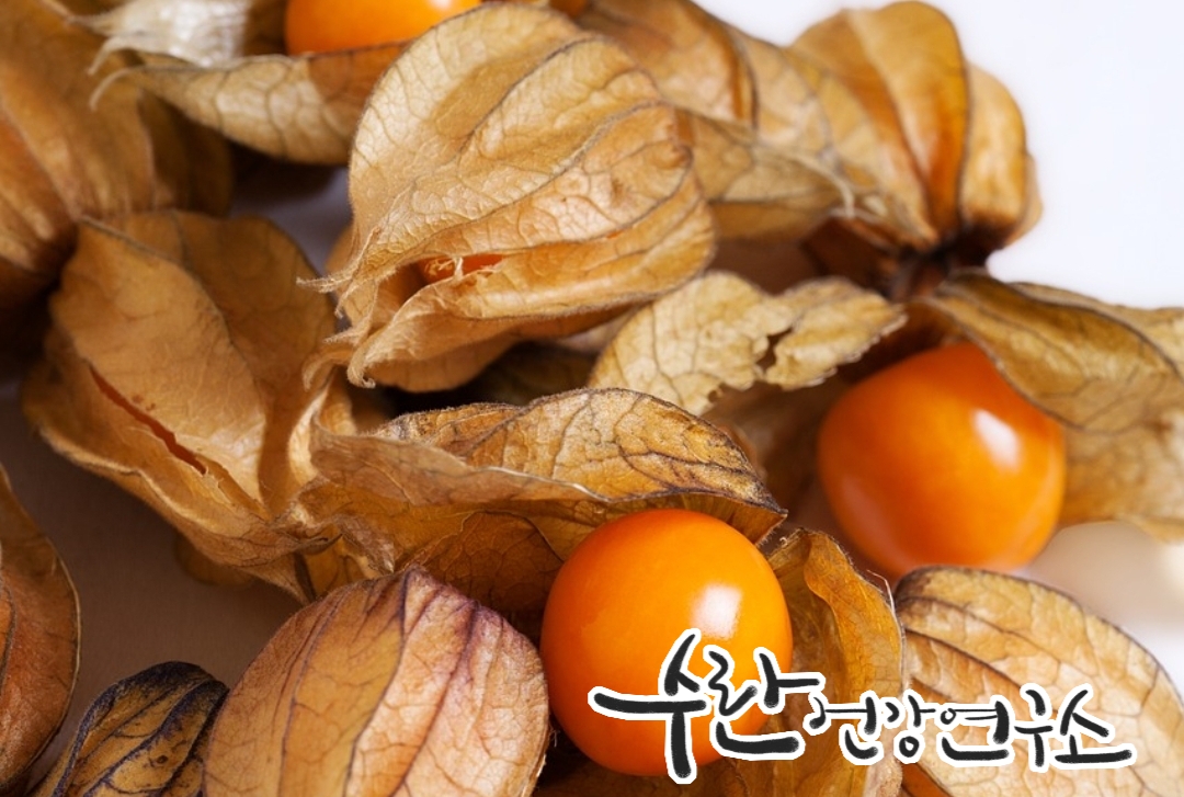 경옥고 효능 가격 광동경옥고