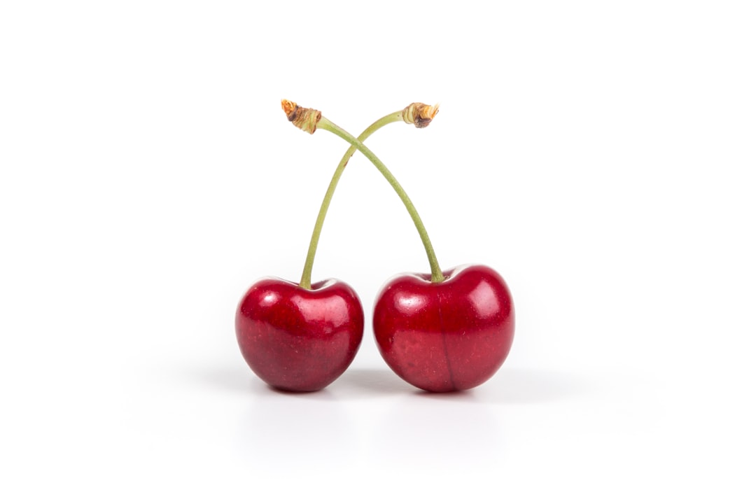 Fruit