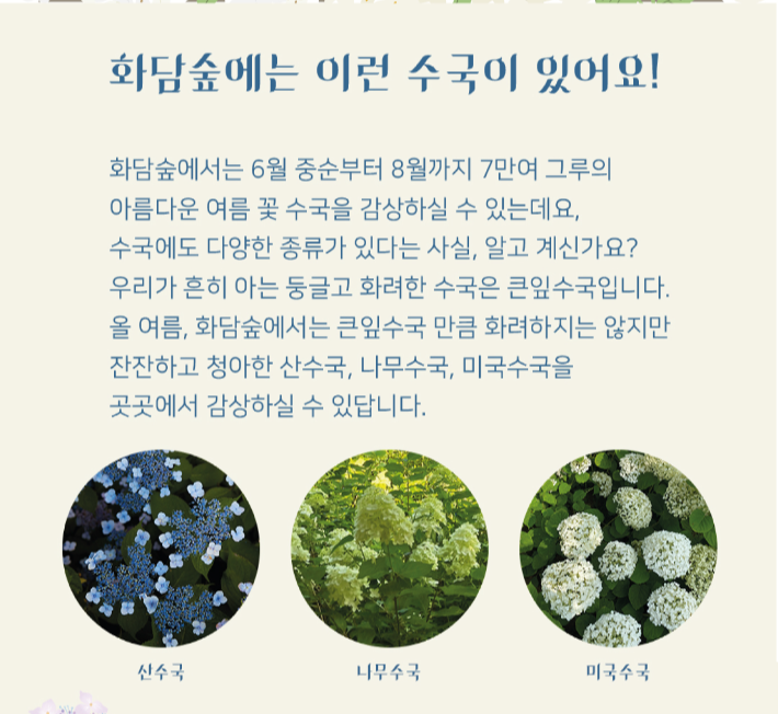 화담숲 예약하기 총정리