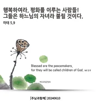 가톨릭 굿뉴스 인터넷 매일미사 성경스기_12