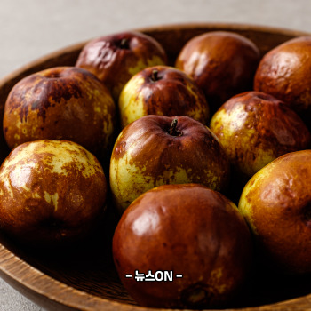 사과대추 보관법