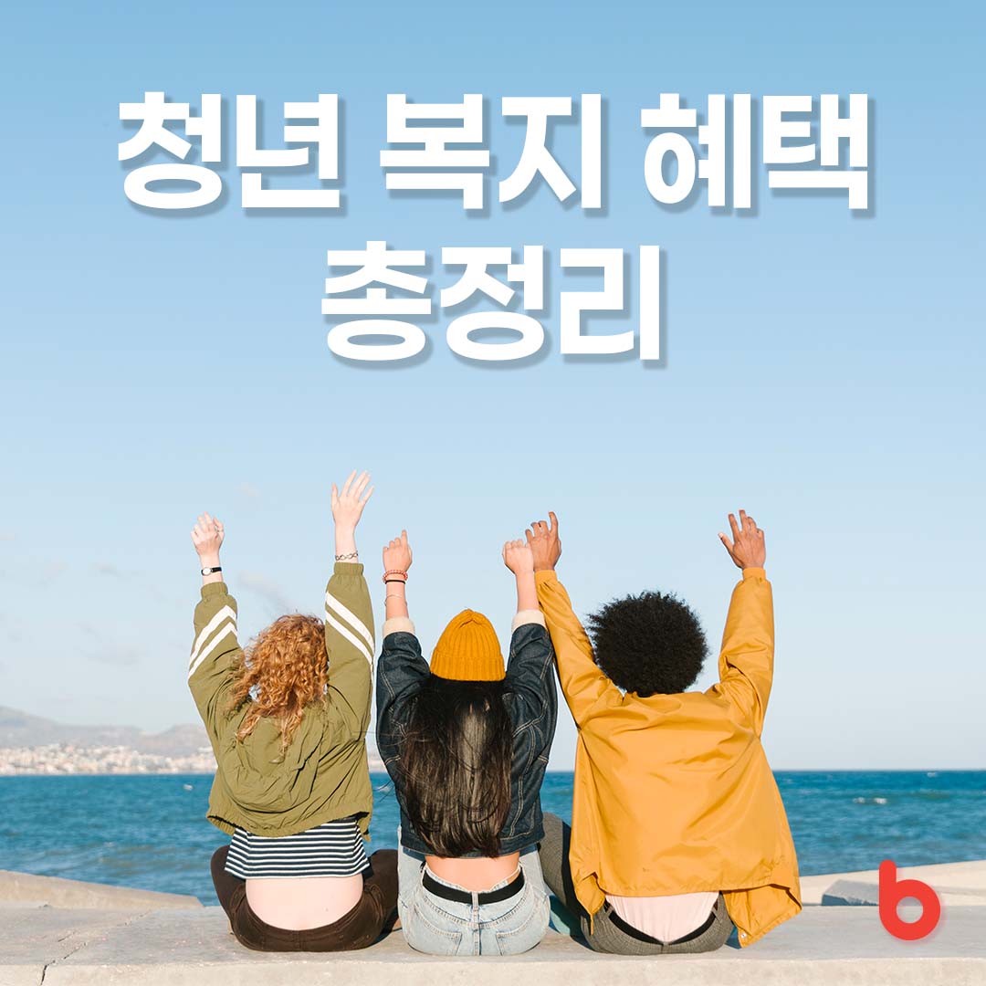 청년 복지 혜택