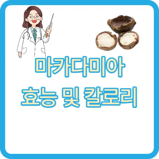 마카다미아 효능 및 칼로리 부작용