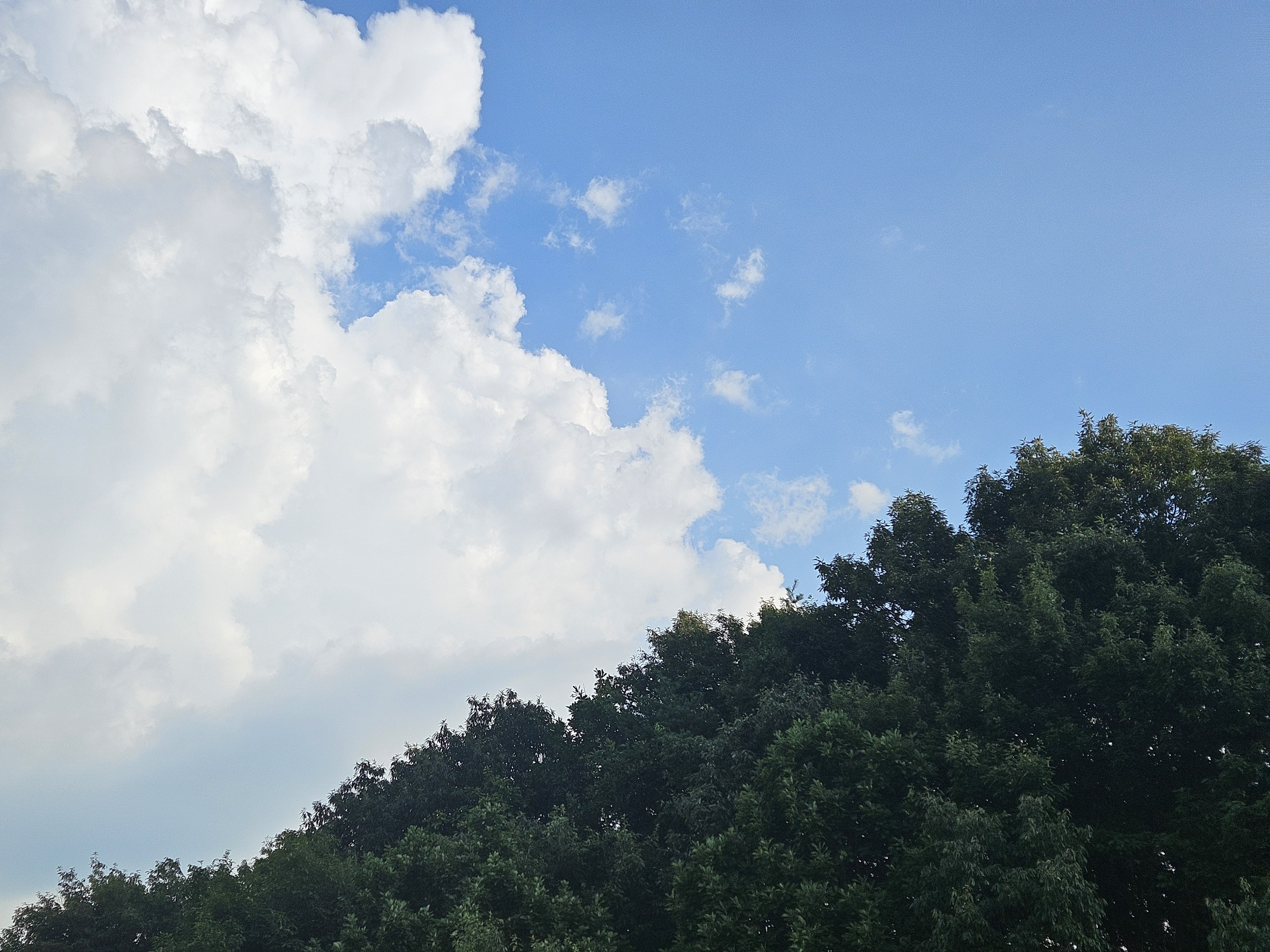 그라스 길에서 바라본 풍경