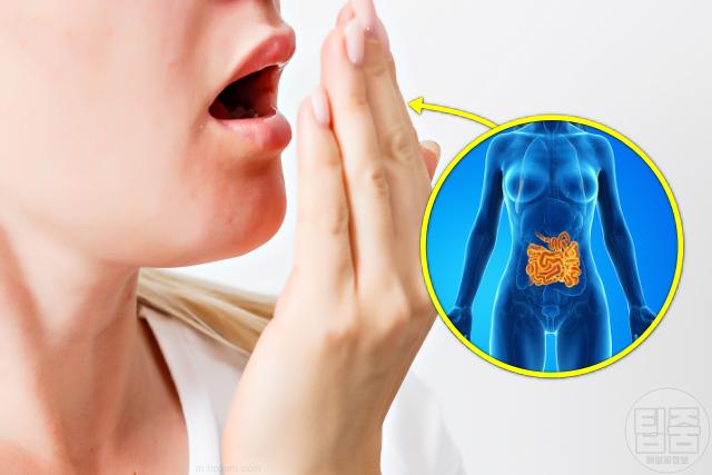 입냄새 심한 이유 입냄새 원인 질환