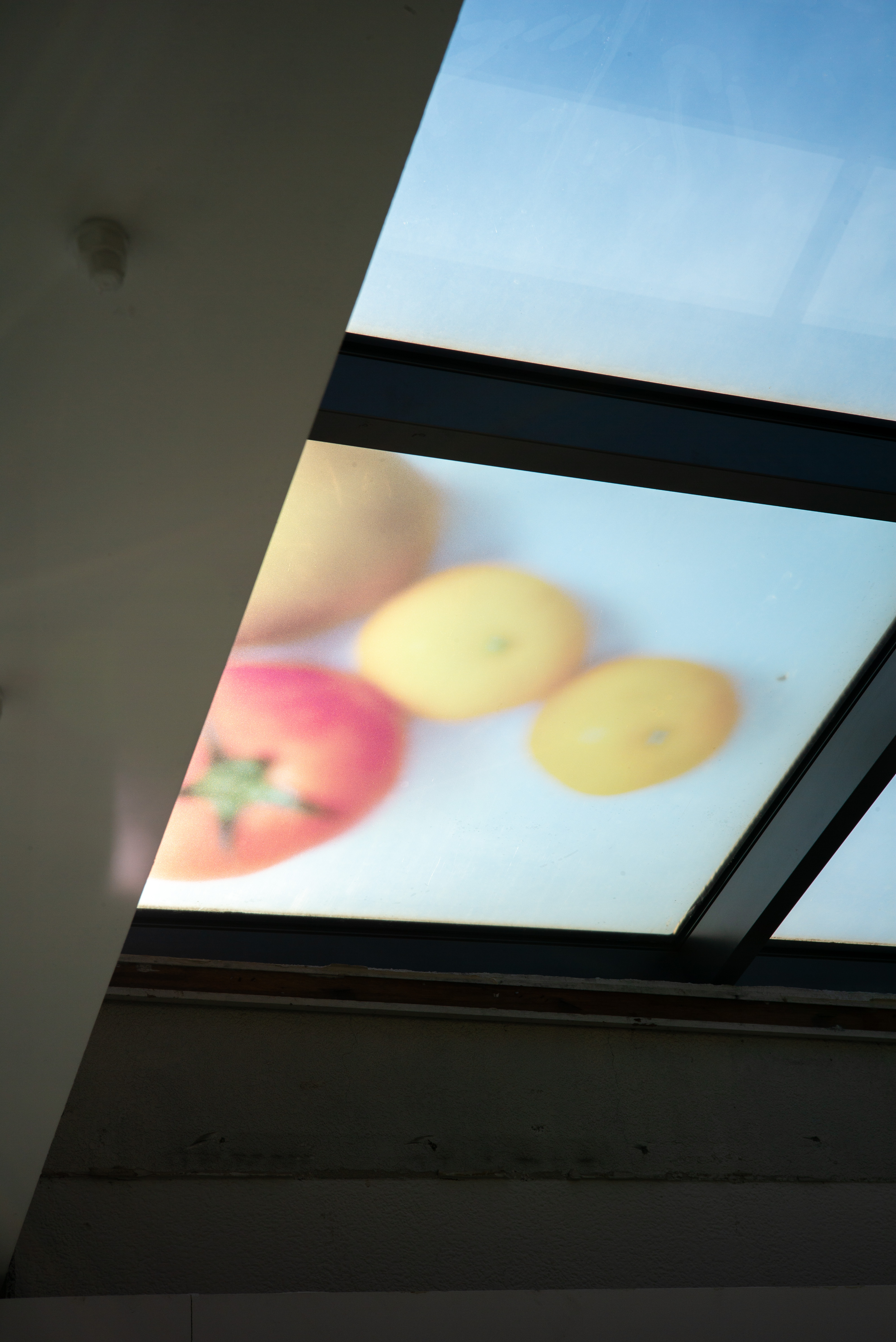 천장의 유리창을 통해 보이는 과일 이미지와 푸른 하늘. 라이카 M-P 240의 명부 표현을 확인할 수 있는 무보정 사진.