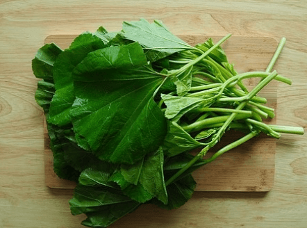 아욱국 아욱된장국 건새우와궁합 건강식 채소요리 집밥 레시피 국물요리 한식 요리법