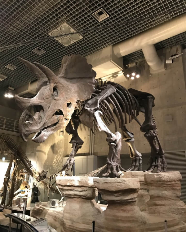 국립과학박물관2