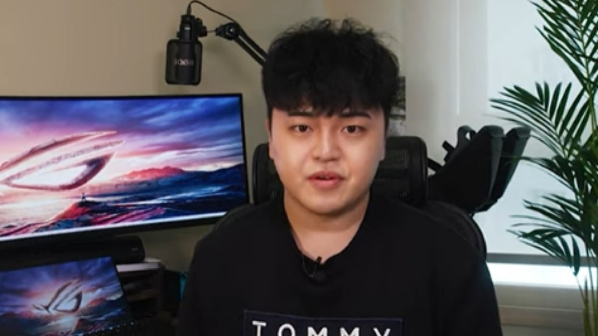 유튜버 하얀트리 사진