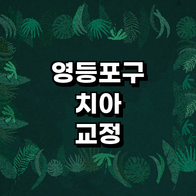 서울 영등포구 교정 치과