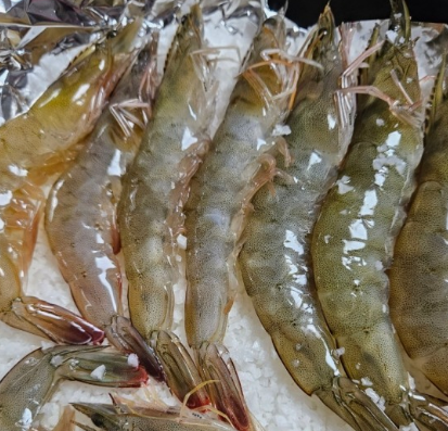 [6시 내고향] 나주 양식 새우 택배주문 나주금천왕새우 판매정보