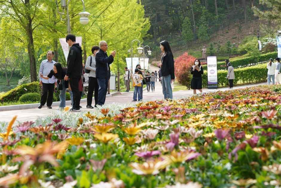 청남대 봄꽃축제 영춘제