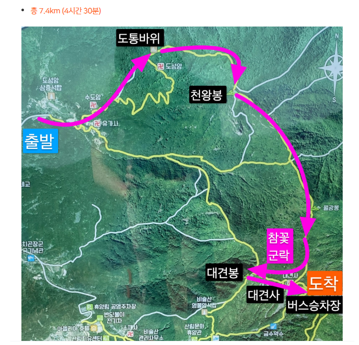 알레버스 버스 투어