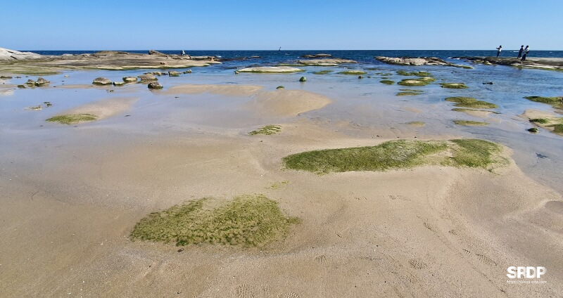 아야진-해변-해수욕장-스위밍터틀-강원도-고성-오션뷰-카페