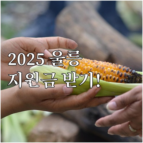 울릉군 2025 저소득 장애인 위문품..